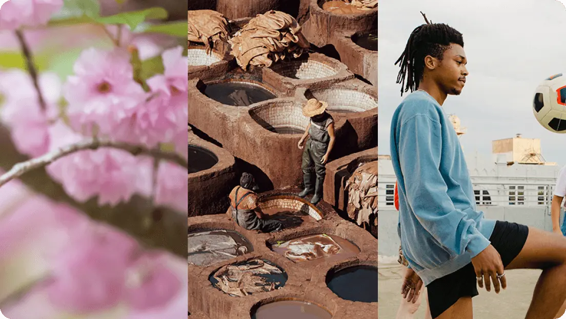 Multiple video contexts including flowers, industrial footage, and sport