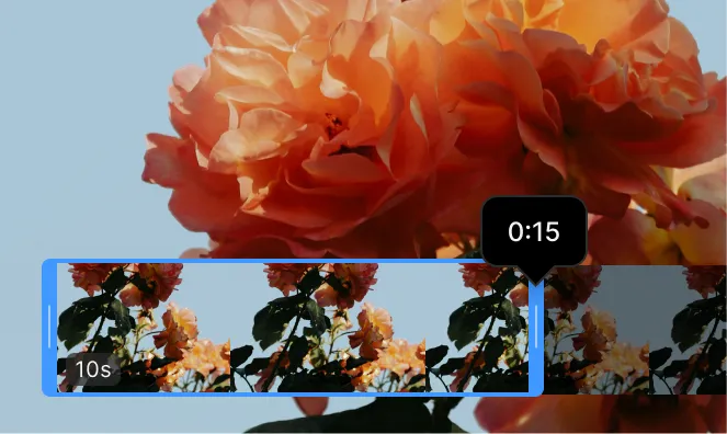 Video trim and preview interface before processing